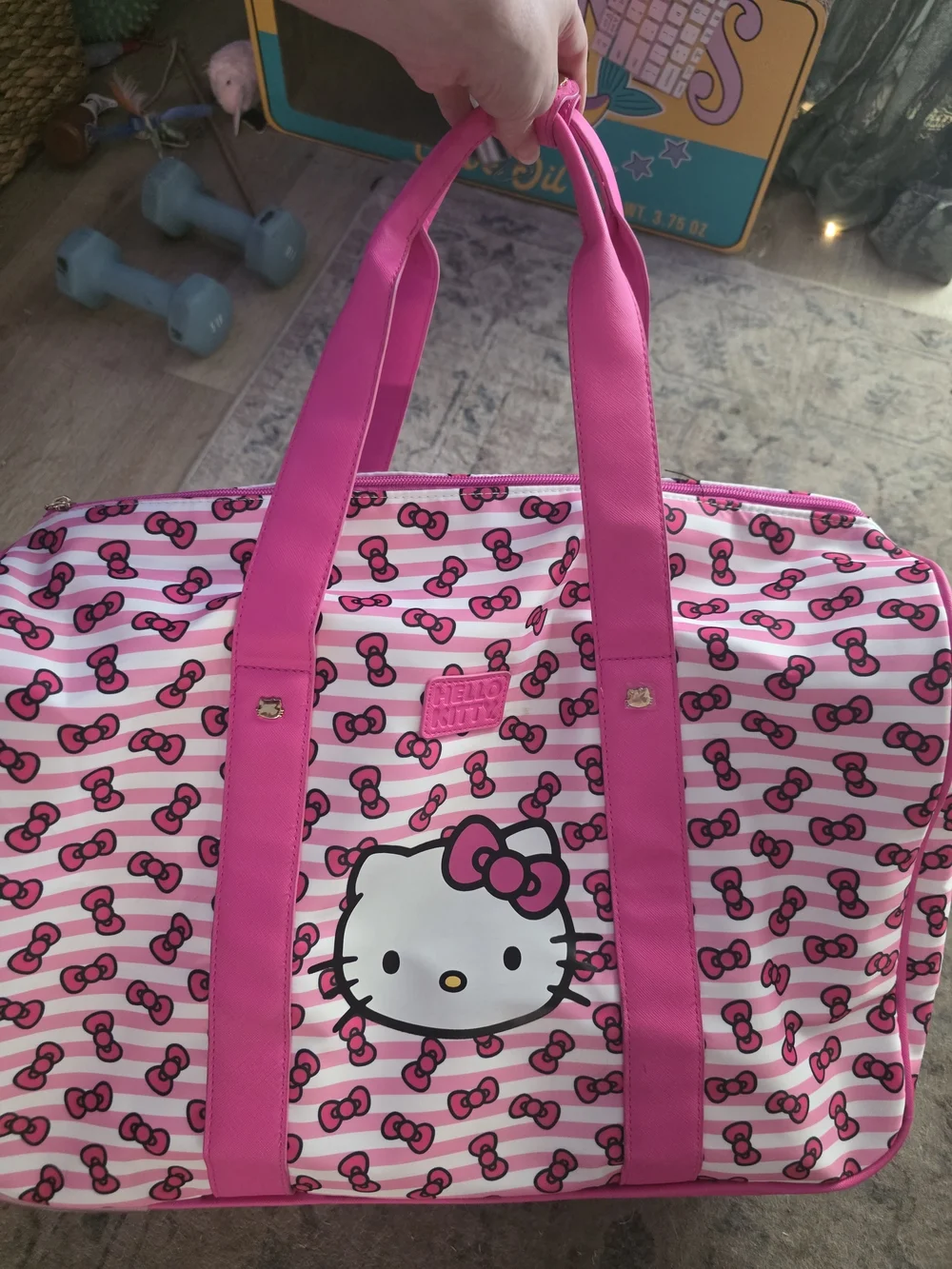 Hello Kitty Pink and White Striped Garment Bag with Bow Print